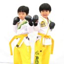 MTA태권도장 이미지