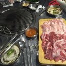 돼지연구소 이미지