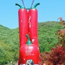 송죽 - 밀양시 | 송죽