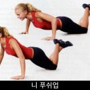 팀피피짐
