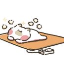 듀오라이트 이미지