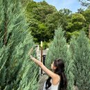 더리버에스풀빌라 이미지