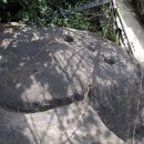 청운농장 이미지