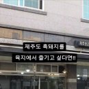 제주돈먹젠