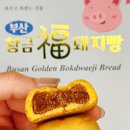 부산 황금복돼지빵, 돼지국밥을 닮은 부산 기념품 계피호두앙금빵 후기