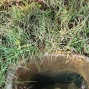 봉산보건지소 이미지