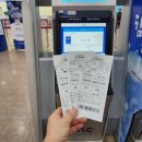 제주3일여행 1일차 휴식이 필요할때 비행기타고 렌트하고 투어하러가기