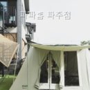 파파홈(문산점) | 파파홈 파주점 반려견과의 특별한 순간, 정말 좋았어!