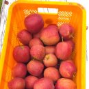 송학농원 이미지