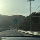 봉양7길 | 정선 여행(콧등치기, 오란다, 황기족발, 송어, 곤드레밥)