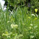 심호당한의원 이미지