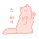 슈타데 이미지