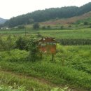 배준농장 이미지