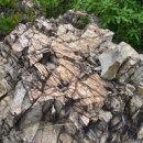 묘암경로당 이미지