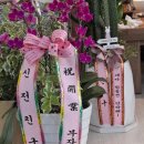 경포물회 이미지