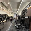 페르소나 PT 이미지