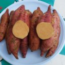 안면도농산 이미지