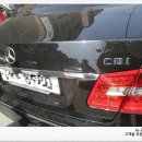 곰식이카 이미지