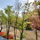 서두나루공원 이미지