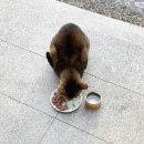 와소옥 이미지