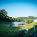 밤골 캠핑장 이미지