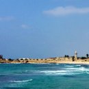 가버나움 이미지