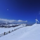 삼양목장 이미지