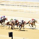 (주)기수산업 이미지