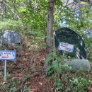 시인의 공원 이미지