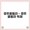 경주디올풀빌라 | 경주풀빌라 - 경주 풀빌라 독채, 경주 풀빌라 추천, 경주 풀빌라 펜션