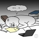 하)재활레크리에이션 | 에서 살아남기 2024 2학기 방통대 대면 기말고사 준비하기: 기말시험 안내 및 후기/ 어느새 종강이 코앞에