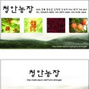 청안농장 이미지