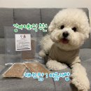 캐니스팜 | [후기] 강아지화식 추천 : 캐니스팜 마음,캐밥