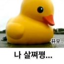 꽃남연어집
