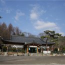 봉평메밀꽃향기 이미지