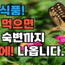 쾌변식품! 이것 먹으면 묵은 숙변까지 한방에! 나옵니다.-시니어일상톡톡 이미지