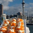 하버크루즈 이미지