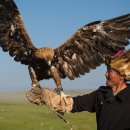 (주)로얄관광 이미지