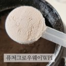 단백질보충제추천, 단백질쉐이크추천, 프로틴쉐이크 :: 액티브퓨처핏 퓨처그로우웨이WPI