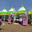 낙동강체육공원 1주차장 화장실 | [경남/창녕군]남지읍 '낙동강유채축제' 다녀온 후기 ㅣ 부모님 인생샷 사진스팟 경상도축제