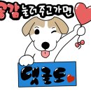 일루션커피 이미지