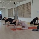 이모셔널 클래스 이미지