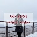 정선 알파인프라자 1층 | 강원도 정선 가볼만한 곳 가리왕산 케이블카 내돈내산 후기 현장가격 및 할인꿀팁