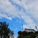 이사부길 | 해상스카이워크/삼척해변/소망의탑/삼척쏠비치/해안도로/이사부길/고소공포증주의/맹방유채꽃축제/포토스팟