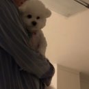 혜림유치원 | 26은 어른이 아니야