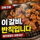 안골 | 진해 용원 제주정돼지 안골 갈비 맛집 내돈내산 후기