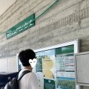 [신혼여행#3] 루체른 리기산에서 내려오는 방법, 아메론 루체른 호텔 플로라