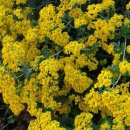 녹색농원 이미지