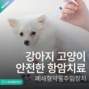 뉴로동물암센터 이미지