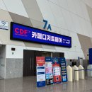 장애인단체사무실 | 카디페 CDF 2025 카페 디저트 페어 후기 일산 킨텍스 박람회 추천